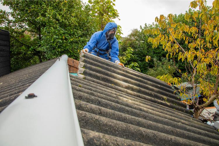 asbestsanering in dordrecht laten verwijderen